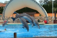 /album/animaux/photo-066-jpg/